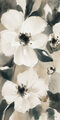 Image Not Available